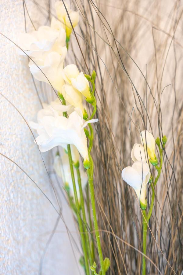 #2 Grosses Zimmer Mit Pool Und Garten Меммінген Екстер'єр фото